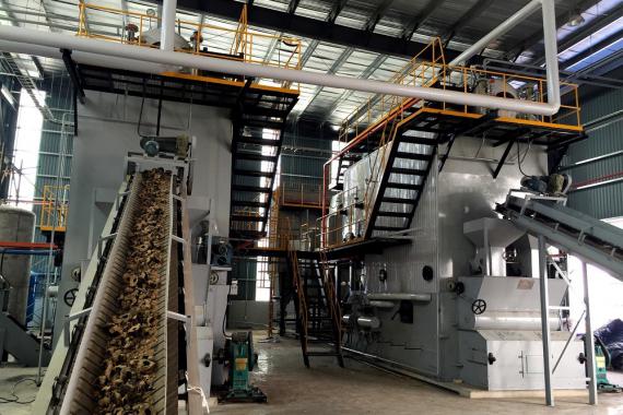 Coal fired water - tube boiler with traveling grate type